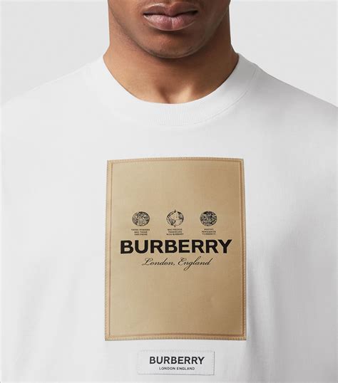 price of burberry t shirt